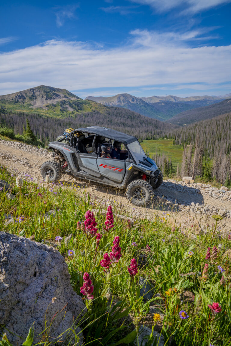 Riders passing by wildflowers in the high country